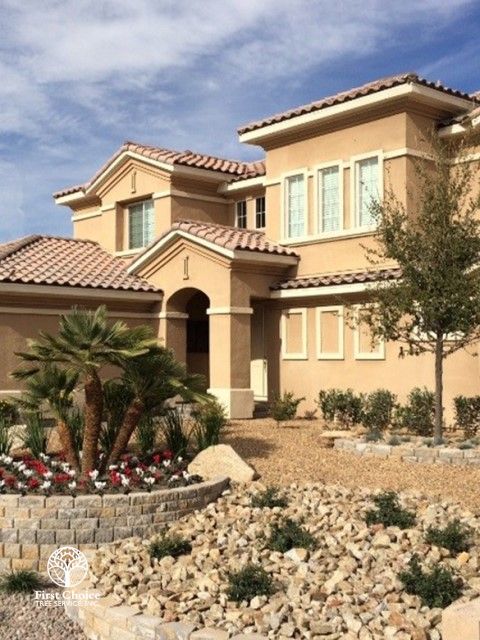 Landscape Design & Construction Landscape Design & Construction