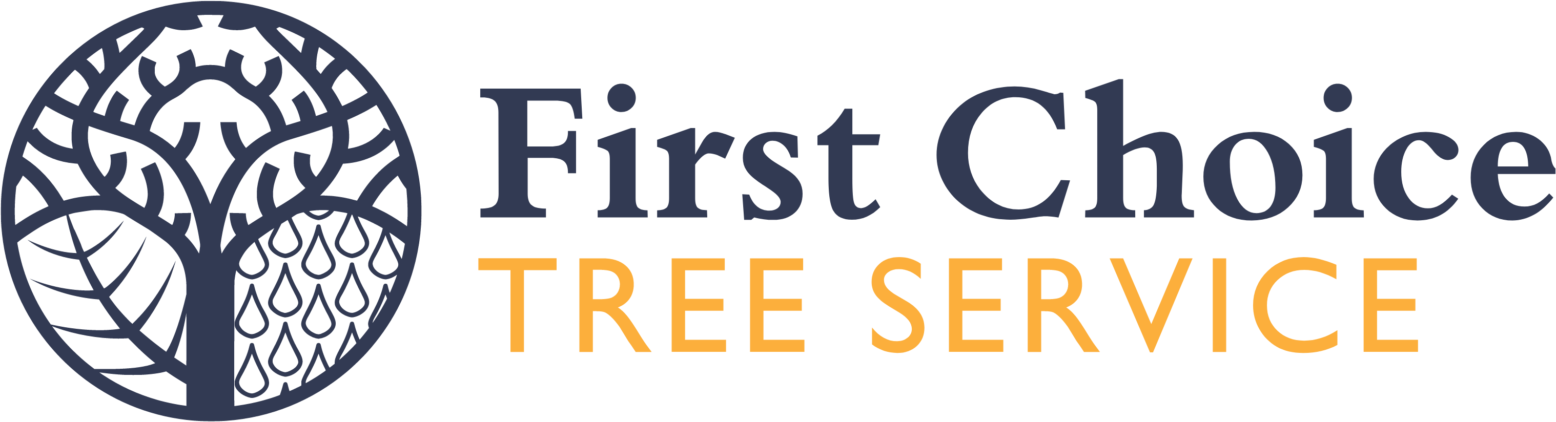 FCTS Logo Longform (PNG) Colorized