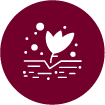 Icon_PalmTree