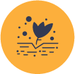 Icon_Palm_Tree_Care