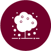 Icon_TreeCare